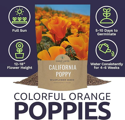 Bulk California Orange Poppy Wildflower Seeds - 5 Pounds - Over 1,600,000 Native Seeds - California State Flower!