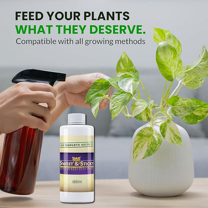 Humboldts Secret Sweet & Sticky Carbohydrate and Saccharide Plant Energy Additive | Indoor and Outdoor Plant Nutrients Enhancer for Growth and Aroma | Boosts Flavor and Development | 8 Ounce