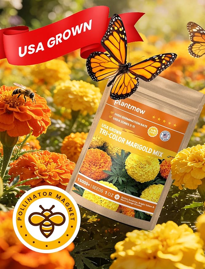 Tri-Color Marigold Seeds for Planting | 15,000+ Heirloom French Marigold Flower Seeds | Non-GMO, High Germination, USA Grown for Outdoor Gardens & Borders