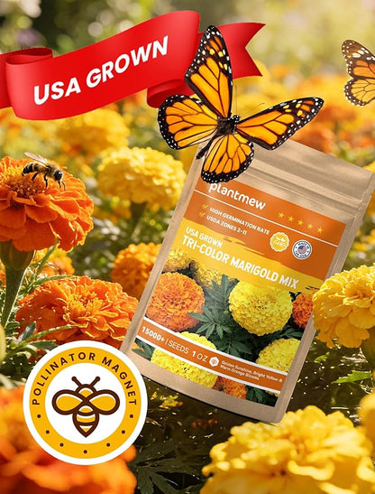 Tri-Color Marigold Seeds for Planting | 15,000+ Heirloom French Marigold Flower Seeds | Non-GMO, High Germination, USA Grown for Outdoor Gardens & Borders