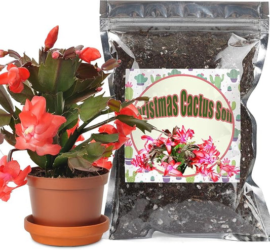 Christmas Cactus Potting Soil Mix 2qt, Ideal for Succulents, Christmas Cacti, and Other Indoor Potted Plantings