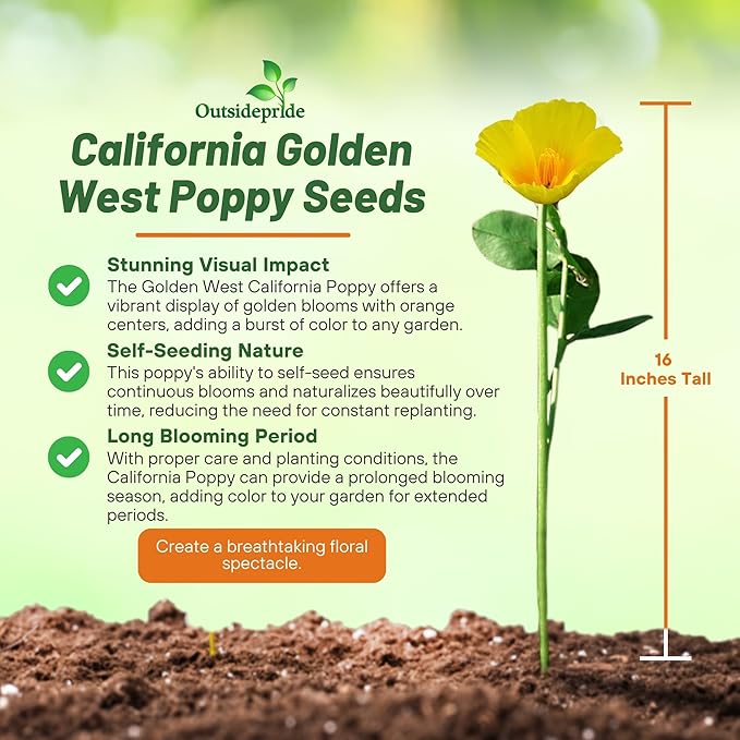 Outsidepride Golden West California Poppy Seeds - 5000 Pieces Annual, Drought Tolerant Eschscholzia Wildflower Seed w/Vibrant Yellow Blooms for Pollinator-Friendly Garden & Outdoor Landscapes