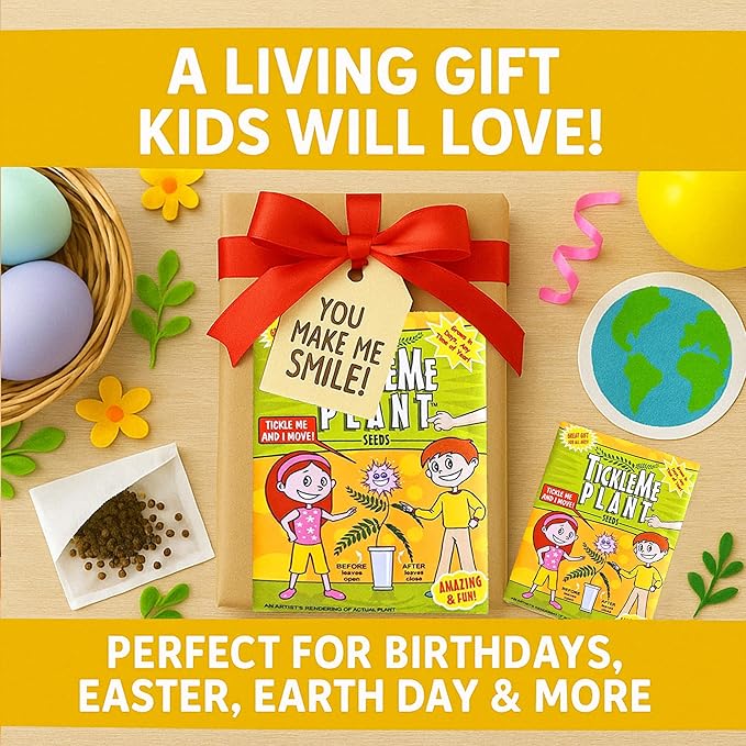 TickleMe Plant Seeds for Indoor Planting (2-Pack) – Touch-Sensitive Plant That Closes Leaves When Touched – Easy Indoor House Plant Seeds – Fun Educational Activity for Kids & Adults