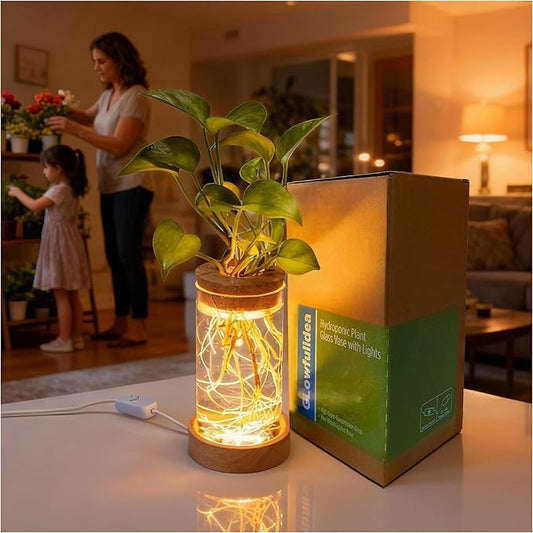 Plant Propagation Station with Light, Glass Planter Station with Waterproof Lighted Wooden Base, Desktop Hydroponic Plants Terrarium, Cylindrical Glass Planter for Home Decor & Office Decor