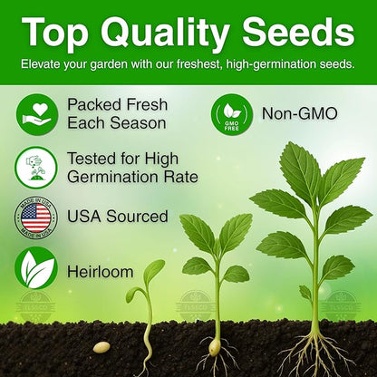 3000+ USA Premium Egyptian Spinach Seeds (Molokhia), Non-GMO Seeds, Fast-Growing, Low Maintainance, Nutrient-Rich & High-Yield – Heirloom Seeds