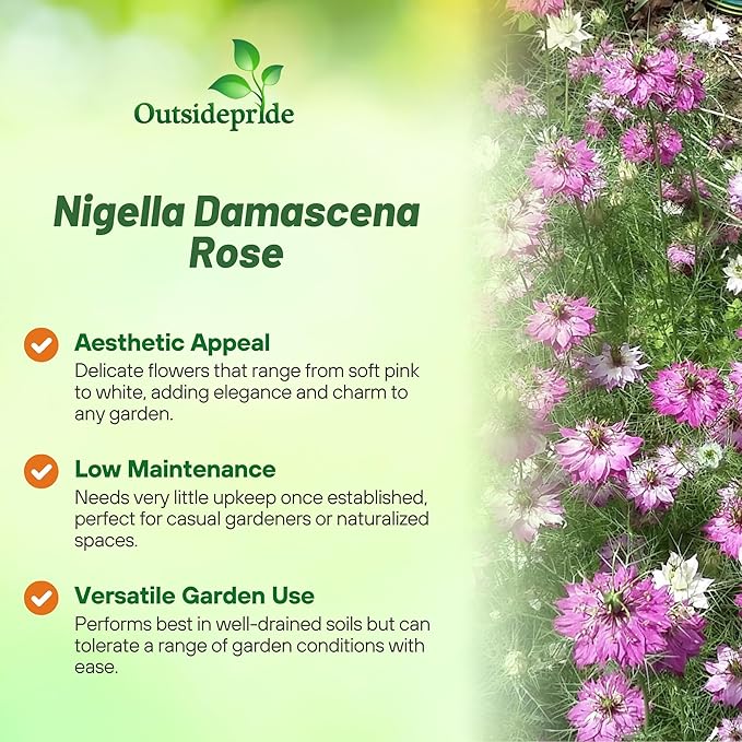 Outsidepride Jewels Rose Nigella Seeds - 1000 Pcs Annual Flower Seeds for Planting with Vibrant Blooms & Lacy, Fern-Like Foliage, Attractive Cut Flower for Small Garden Spaces & Floral Arrangements