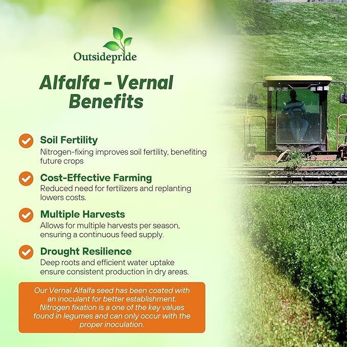 Outsidepride Perennial Alfalfa Seeds for Planting - 40 lbs High Yield, Nitrocoated, Inoculated Winter Hardy Forage Legume Seeds for Growing Lush Green Grass Lawns, Pastures, & Hay for Livestock