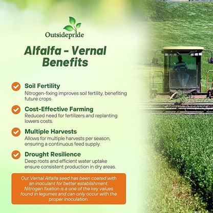 Outsidepride Perennial Alfalfa Seeds for Planting - 40 lbs High Yield, Nitrocoated, Inoculated Winter Hardy Forage Legume Seeds for Growing Lush Green Grass Lawns, Pastures, & Hay for Livestock