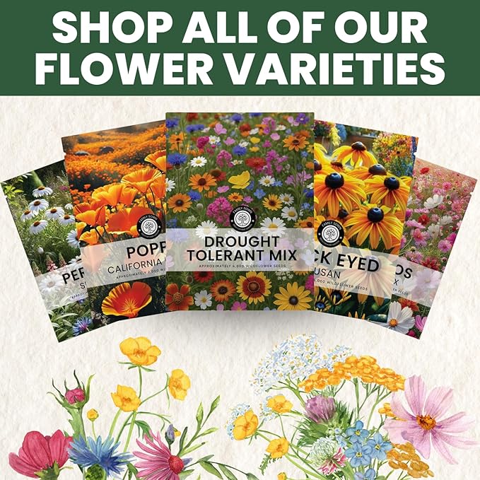 Drought Tolerant Mix – 22,000 Seeds for Planting – 2026 Season – 1 Ounce Pouch