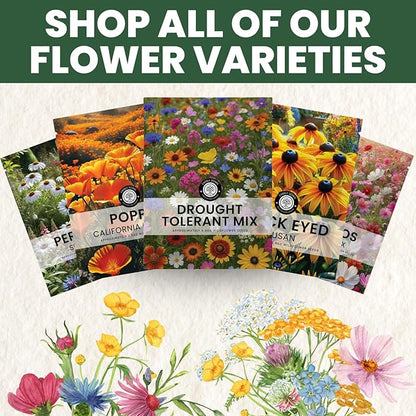 Drought Tolerant Mix – 22,000 Seeds for Planting – 2026 Season – 1 Ounce Pouch