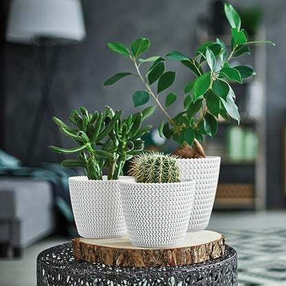 Zanvic Flowerpot splofy 2, Effect Knitted Fabric, 26 cm, White, 26 x 26 x 22 cm, za547