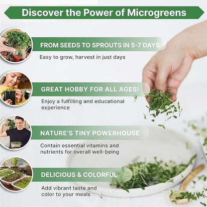 Organo Republic Broccoli Sprouting & Microgreens Seeds - 65,000 Non-GMO Heirloom Seeds, Sprouts in Bulk 8oz Resealable Bag for Planting & Growing in Soil, Coconut Coir, Aeroponic & Hydroponic System