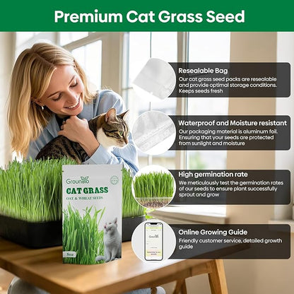 Cat Grass Seeds 8oz, Non-GMO Wheat Cat Grass Seeeds & Oat Seeds Mix, High Germination Cat Grass Seeds Grown in USA for Indoor Cats