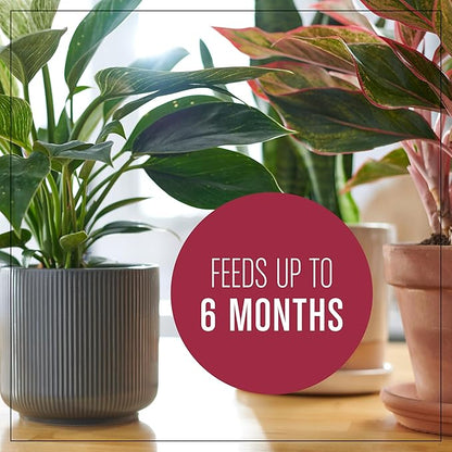 Miracle-GRO Houseplant Potting Mix, for Indoor Container Plants, Feeds for up to Six Months, 4 qt. (3-Pack)