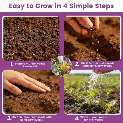 Wildflower Seeds Bulk Mix - 10,000+ Non-GMO Perennial & Annual Seeds - Texas, California & Florida Native Wildflower Seeds for Hummingbirds, Butterflies, & Cut Flowers - Cosmos, Throw and Grow