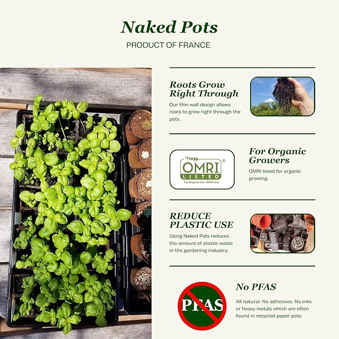 Daniel's Plants 2" Naked Pots Seedling Trays | Natural Plantable Seed Starter Trays | OMRI-Listed Biodegradable | Earth Friendly Contains No Peat | 100 Cell 2 Inch Tray (100, 2 Inch Tray)