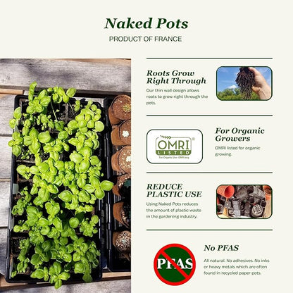 Daniel's Plants 4" Naked Pots | Large Natural Plantable Seed Starter Pots | OMRI-Listed Biodegradable for Seedlings | Enhanced Aeration | Earth Friendly - Peat Free | 30 Pack 4 Inch Round