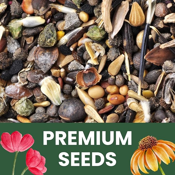 Hummingbird Butterfly Mix - Large 5g Envelope - 1,000 Flower Seeds for Planting - Wildflower Mix