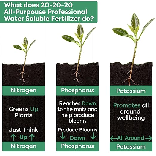 20-20-20 Water-Soluble Fertilizer – Powder for Liquid Plant Food for Indoor & Outdoor Plants, Orchids, Vegetables, Lawns, Flowers – 20 20 20 Fertilizer (20 QUARTS)