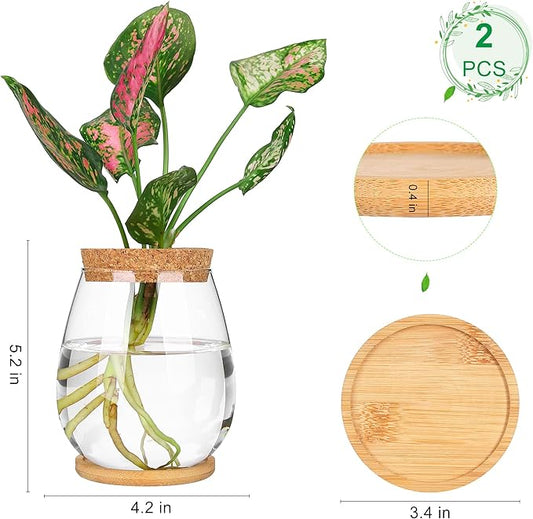 2 Pcs Propagation Vases, Tabletop Plant Terrarium for Propagating Hydroponic, Glass Terrarium Vase Jars, Home Kitchen Decorations and Gifts for Plant Lovers
