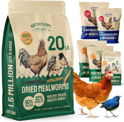 Hatortempt 20lb Dried Mealworms for Chickens - 50% Protein and 32% Essential Fats to Support Healthy Feather Growth During Molt - Organic Treats for Chickens, Ducks, Wild Birds & Reptiles
