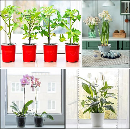 Green Metal Plants Support Stakes (Pack of 8), Garden Single Stem Plant Support Rod and Ring with 10 PCS Plant Clips, Plant Support and Clips Set - for Amaryllis, Rose, Tomato Seedling, Sapling