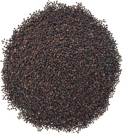 Broccoli Seeds for Sprouting & Microgreens | Waltham 29 Variety | Non GMO & Heirloom Seeds | Bulk 1 LB (16 oz) Resealable Bag | Rainbow Heirloom Seed Co.