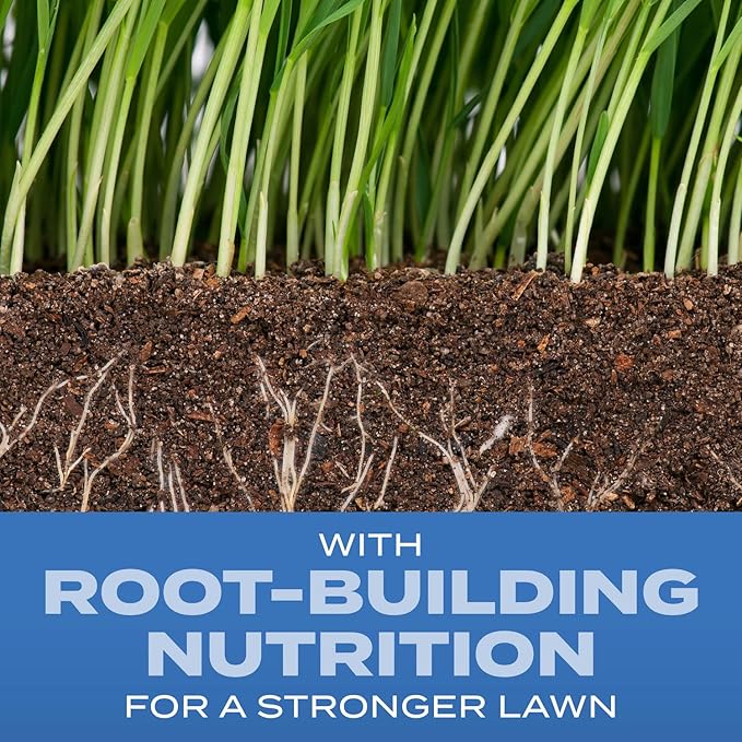 Scotts Turf Builder Grass Seed Sun and Shade Mix with Fertilizer and Soil Improver, Thrives in Many Conditions, 32 lbs.