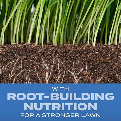 Scotts Turf Builder Grass Seed Sun and Shade Mix with Fertilizer and Soil Improver, Thrives in Many Conditions, 16 lbs.