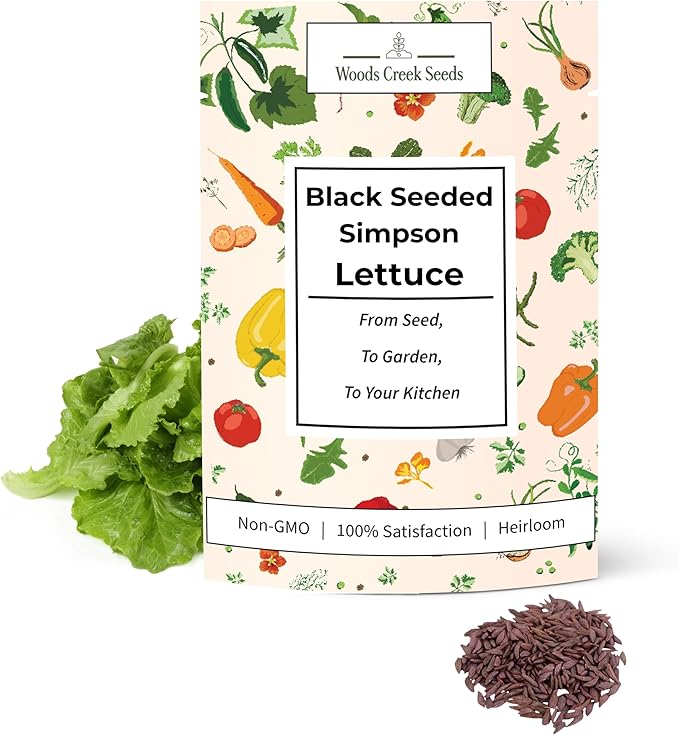 Black Seeded Simpson Lettuce Seeds for Planting – Heirloom Non-GMO Green Leaf Loose Leaf Lettuce for Home Gardens | Woods Creek Seeds
