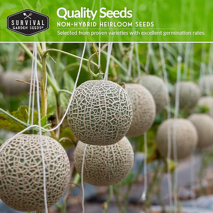 Melon Seeds for Planting Variety Pack – 6 Heirloom Cantaloupe, Honeydew & Watermelon Types – Honey Rock, Hale’s Best, Tendersweet, Georgia Rattlesnake – Survival Garden Seeds