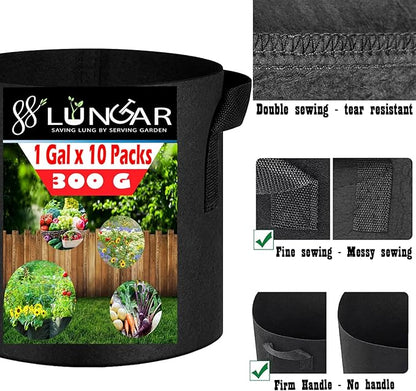 Plant Grow Bags - 10 Gallon 10 Packs Planter Pot, Thickest Aeration 300G Non-Woven Fabric, Reinforced Handles for Weatherproof Nursery Pot, Enhanced Double Seam