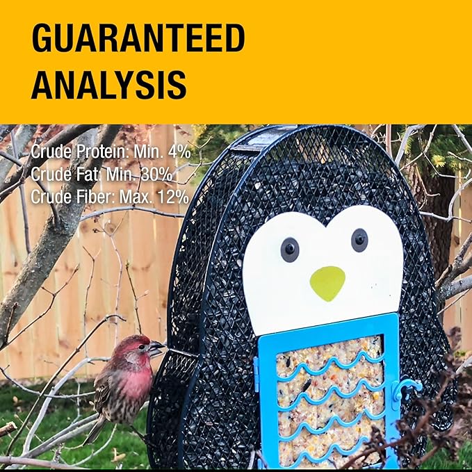 Heath Whimsical Penguin Suet 'n Seed Bird Feeder for Sunflower Seeds with 2 Free Bird's Blend Suet Cakes Included