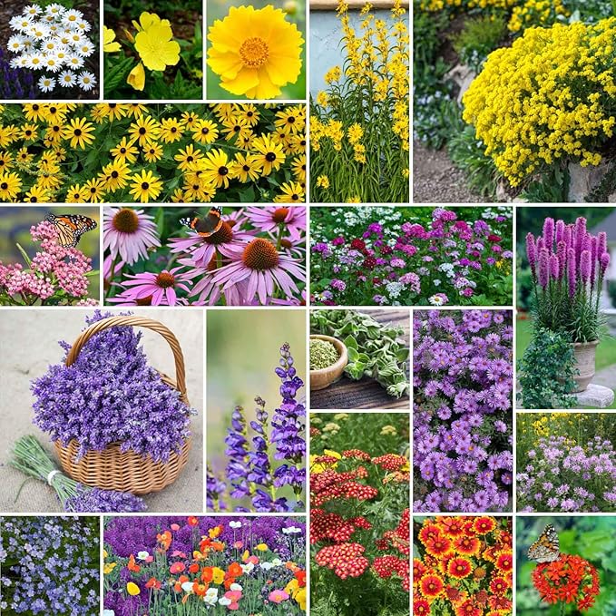 Eden Brothers Perennial Pollinator Wildflower Mixed Seeds for Planting, 5 lbs, 2,400,000+ Seeds with Blue Flax, Coneflower | Attracts Pollinators, Plant in Spring or Fall, Zones