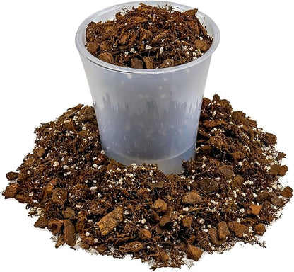 Premium Gardenera House Plant Potting Mix | Fern + New Zealand Bark + Perlite | Great for Pothos, Spider Plants, Montsera, Philodendron, English Ivy - 5 Quart Bag