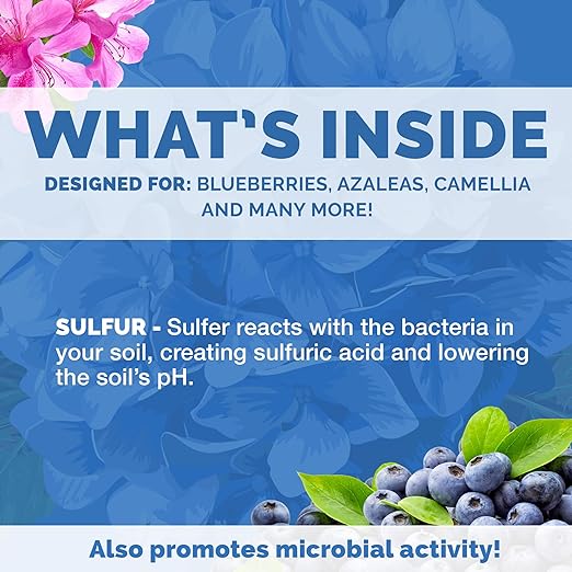 Bloom City's Organic Soil Acidifier - The Best Soil Acidifier Blueberry and Hydrangea Acidic Fertilizer for Optimal Plant Health, Quart (32 oz) (1/2 Pint (8 Ounce))