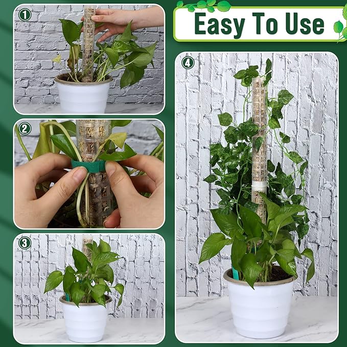 20 Pcs 15 Inch Plastic Moss Pole for Plants Monstera Moss Totem Pole Stick Plastic Monstera Plant Support 10 Pcs Plant Labels 4 Pcs 6.56 Ft Green Plant Ties Gardening Tape for Climbing Plants Creepers