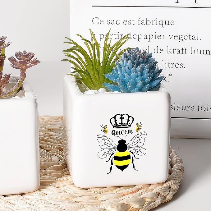 Bee Succulent Planter Flower Plant Pot Small, Gifts for Women Teens Girls Kids, Bee Lovers Themed Stuff Accessories Things Decor Merch, Home Office Table Desk Decoration!