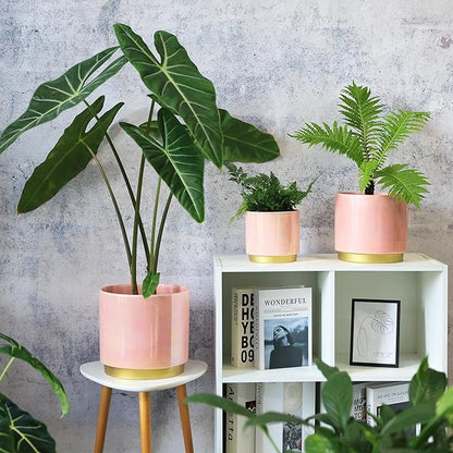 Gepege Pink Indoor Plant Pots for Plants, Ceramic Planter with Drainage Hole, 7.6 Inch +6 Inch 2pcs Succulent Orchid Flower Pot - Rainbow Pearl Glaze