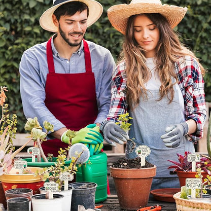 15pcs Funny Plant Stakes Garden Plants Markers Wooden Plants Labels Tab Funny Signs with Stake for Outdoor Indoor Patio Supplies Novelty Gifts Garden Potted