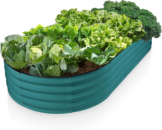 Plant & Plot Galvanized Raised Garden Beds Outdoor // 6×3×1 ft Planter Raised Beds for Gardening, Vegetables, Flowers // Large Metal Garden Box // Patented Tool-Free Design (Turquoise)