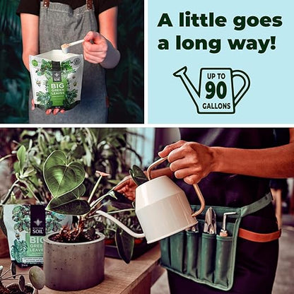 Big Green Leaves Indoor Plant Food – 4X Concentrated Houseplant Fertilizer with Sea Kelp – Makes 90 Gallons – Fast-Acting Mineral Formula, Made in USA (1 lb)