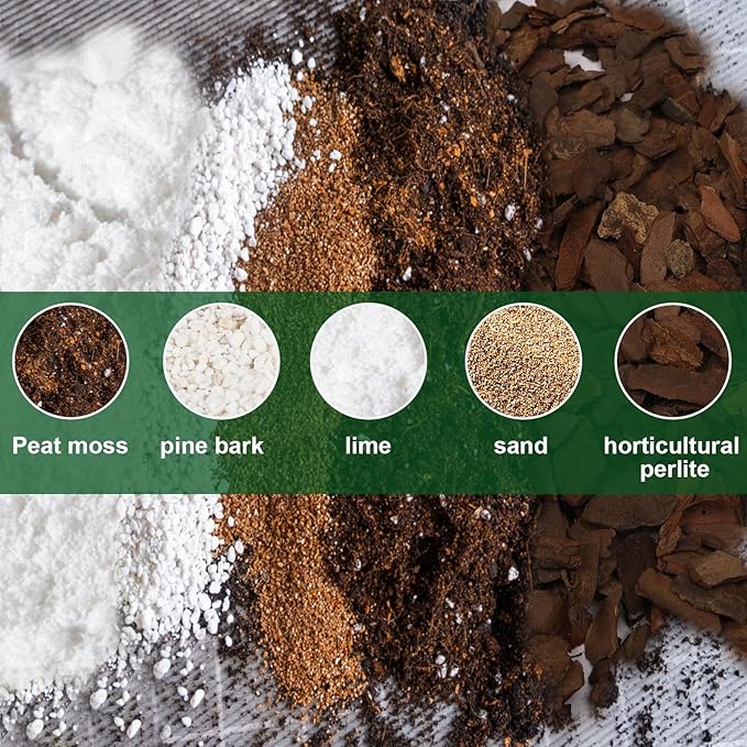All-Natural Potting Soil for Anthurium & Indoor Plants 1qt - Enhanced Drainage, No Additives | Premium Indoor Plant Soil Mix