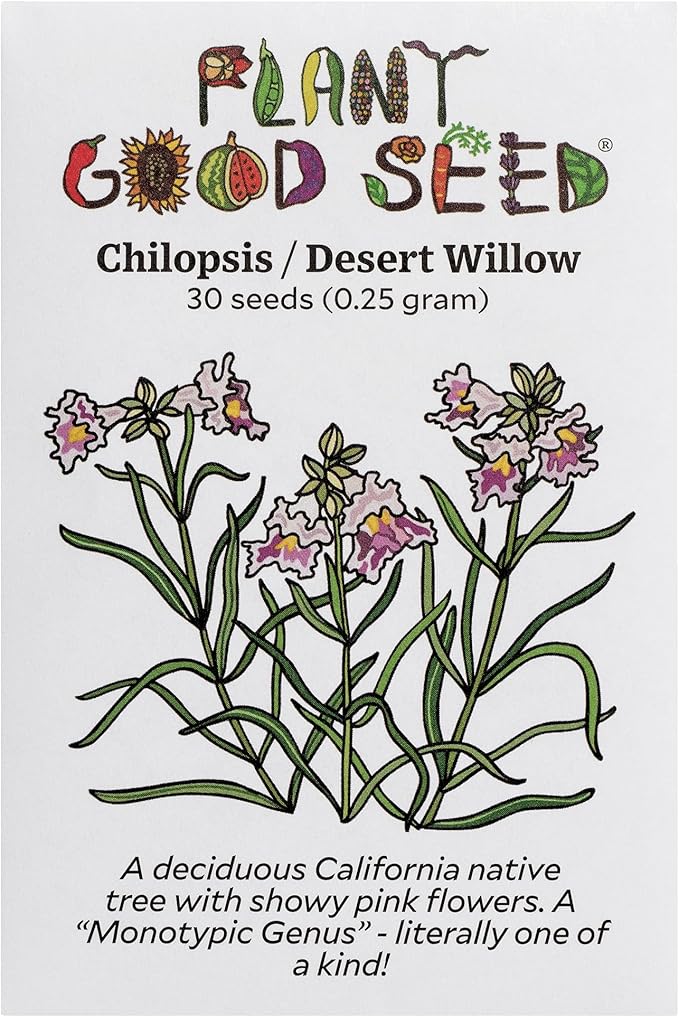 Plant Good Seed Organic Chilopsis/Desert Willow Tree Seeds for Planting: California Native Plant, Pink and White Flowers - 30 Seed Packet