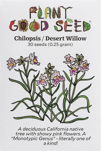 Plant Good Seed Organic Chilopsis/Desert Willow Tree Seeds for Planting: California Native Plant, Pink and White Flowers - 30 Seed Packet