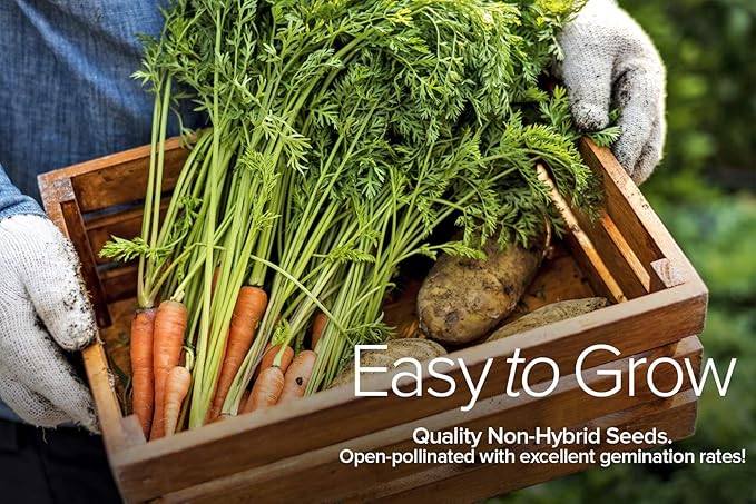 Gardeners Basics Winter, Fall, and Spring Vegetable Seeds for Planting | Cool Weather Crops | 8 Varieties: Sugar Snap Pea, Carrot, Beet, Radish, Lettuce, Broccoli, Kale, Cabbage