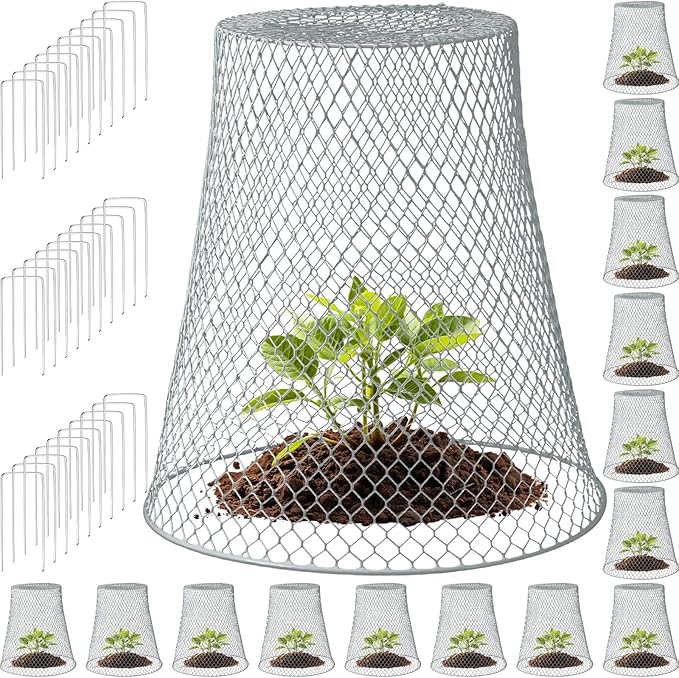 Therwen 15 Pcs Large Chicken Wire Cloche Plant Protector Cover 11x12 Inch Metal Garden Cloche Dome for Plants Wire Protection Basket with Garden Stakes Plant Cages from Animals (Silver)