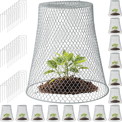 Therwen 15 Pcs Large Chicken Wire Cloche Plant Protector Cover 11x12 Inch Metal Garden Cloche Dome for Plants Wire Protection Basket with Garden Stakes Plant Cages from Animals (Silver)