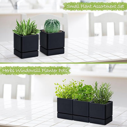 D'vine Dev 4 Inch Herb Planter Pot, Plastic Planter with Drainage Holes and Saucer, Modern Decorative Gardening Pot for Indoor Plants, Flowers, Herbs, Succulents, Black, Set of 3, 76-Y-B3-1