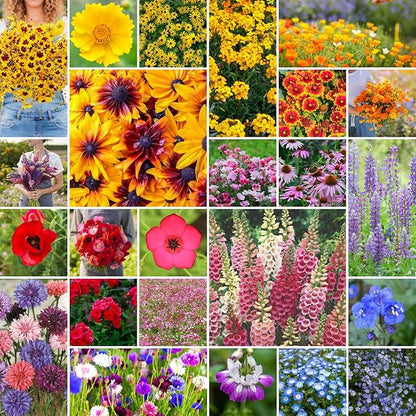 Eden Brothers Pacific Northwest Wildflower Mixed Seeds for Planting, 25 lb, 12,000,000+ Seeds with Cornflower, CA Bluebell, Attracts Pollinators, Plant in Spring or Fall, Zones 3, 4, 5, 6, 7, 8, 9, 10
